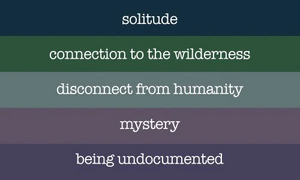 Cryptidgender (Xenogender) Meanings.jpg