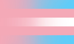 Assigned female at birth revealgender pride flag, five vertical stripes, top to bottom: blue stripe, pink stripe, white stripe, pink stripe, blue stripe. Pink gradient moving from the left to the right.