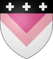 Transfeminine coat of arms by Tumblr user quark-nova [35]