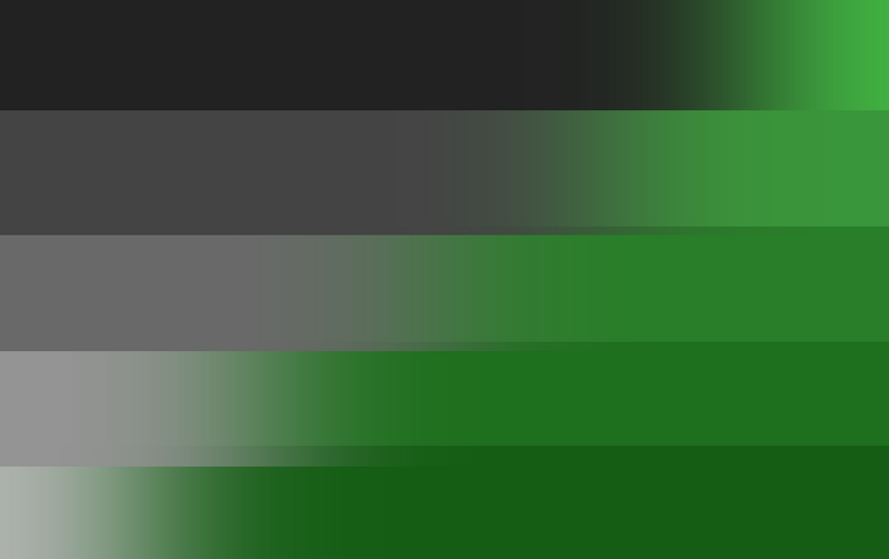 File:Alternative Apaflux Flag.webp