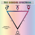 a picture of the gender spectrum created by chrystall-bawll.deviantart.com