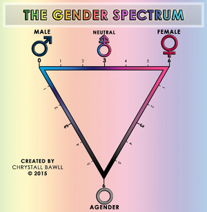 The gender spectrum scale by chrystall bawll-d9d0eiu.jpg