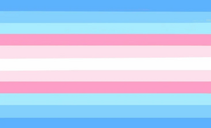 Tranflagic Flag.jpg