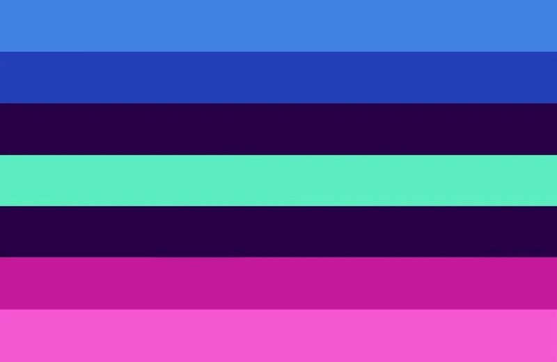 File:Alt4 Concegender Flag.jpeg