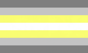DeminonbinaryFlag.png