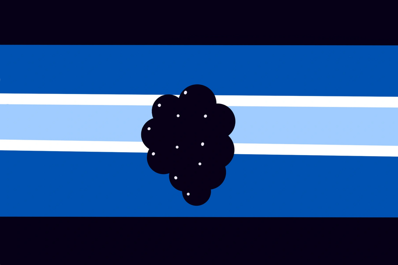 File:Alt blackberric flag 1.png