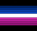 Polyflux flag