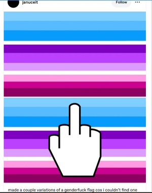 Januceit Genderpunk Flags.png