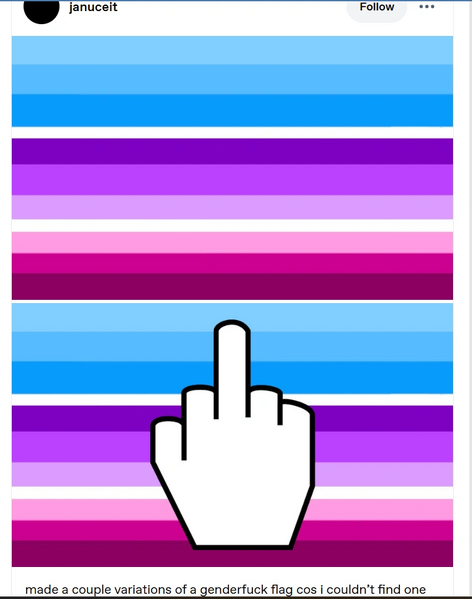 File:Januceit Genderpunk Flags.png