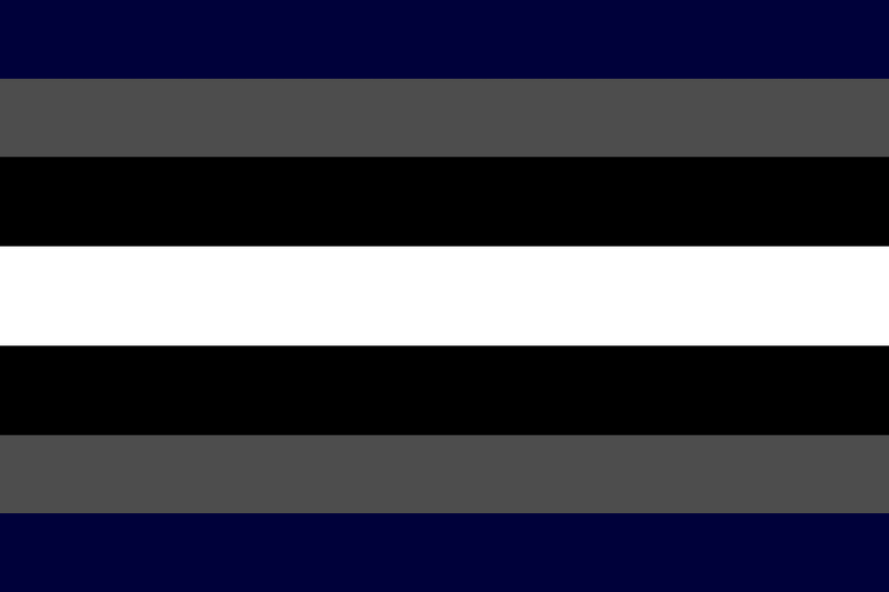 File:Alternative Demigendervoid Flag.png